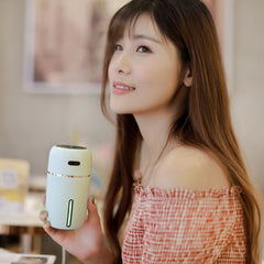 Small I Car Portable Home Charging Humidifier