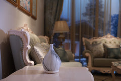 Air Purifier Three-in-one High-end European And American Products